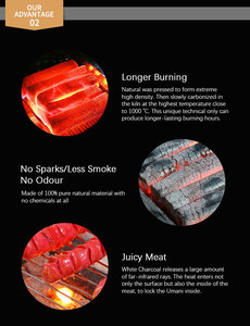 Charbon de bois de haute qualité FireMax pour barbecue, briquettes de charbon de bois de bois dur fabriquées à la machine à partir de sciure de bois, à un prix compétitif - Product Image 2