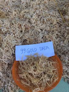 ALGAS SECAS EUCHUEMA COTTONII-ORIGEN DE VIETNAM CON ALTA CALIDAD Y EL PRECIO MÁS BARATO - Product Image 4