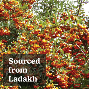 Cápsulas de Espino Amarillo del Himalaya 500mg, Extracto Natural de Bayas de Espino Amarillo para el Apoyo Inmunológico, la Salud Digestiva y Cardíaca - Product Image 6