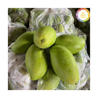 Kwaliteit Verse Mango Uit Vietnam Natuurlijke Mango Fruit Ideaal Voor Sap Bedrijven Dessertkeukens En Bredere Voedselactiviteiten