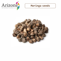 Biji Moringa Oleifera bulat yang dapat diandalkan & kualitas tinggi dari India untuk memberi nutrisi kulit dan rambut bumbu & rempah-rempah tunggal
