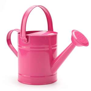 Hot Sale Prices New Design <b>garden</b> watering can water bottle Iron metal Finished water can Indian Handmade - Product Image 1