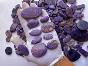 Charoite naturelle! Vente de gros Lot-Cabines charoite à dos plat-Lot cabochon en vrac-Pierre charoite violette pour la fabrication de bijoux - Product Image 4