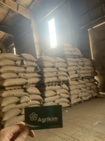 Grains de café vert Arabica et Robusta du Vietnam de haute qualité meilleur prix d'usine emballés dans un sac à vendre