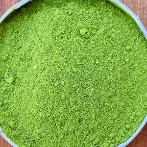 Poudre d'extrait de feuilles de Moringa, qualité alimentaire, emballée sous vide dans un bocal en verre - Product Image 1