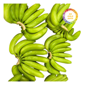 กล้วยสดเกรดส่งออก, เวียดนาม, ขนาด4/5/6มือพร้อมบรรจุภัณฑ์13กก. ที่เชื่อถือได้สำหรับการซื้อจำนวนมาก - Product Image 2