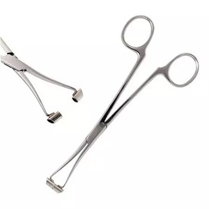 PINCE FORCEPS SEPTUM <b>PIERCING</b> <b>CLAMP</b> BODY ART 16 cm SURGICAL INSTRUMENTS - Product Image 6