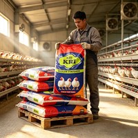 Sac d'emballage durable en PP tissé, personnalisé, résistant à l'humidité, imprimé à l'écran, pour l'agriculture, la farine de riz, l'alimentation animale, les engrais