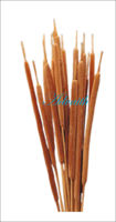 Reed pensil Spadix, dekoratif penangkap bunga kering untuk dekorasi rumah, melembabkan pengaturan bunga dengan beberapa alami ini