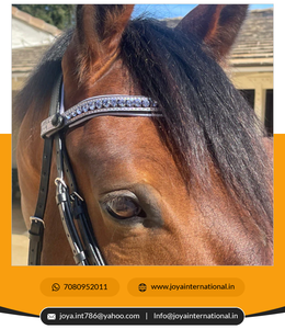 Bridas de doma suave con acabado hermoso Brida de snaffle de brezo de primera edición de alta calidad directamente del fabricante - Product Image 5