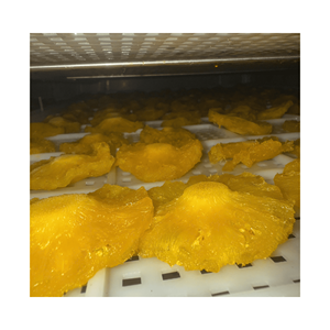 น้ำเชื่อมข้อมูล99โกลด์ขนมสับปะรดหั่นบางๆที่เก็บรักษาไว้แพ็คสุญญากาศรสหวานและเปรี้ยวสำหรับของหวานและขนมอบส่งออกจากเวียดนาม - Product Image 6