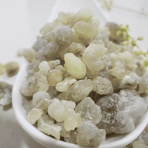 <b>Church</b> Grade Hojari Frankincense Boswellia Sacra Religious <b>Incense</b>-Organic Eco-Friendly 100% Natural High Quality Oman - Product Image 1