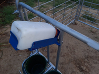 Enclos individuel pour veaux en acier modulaire de haute qualité, 6 pieds, écologique, revêtement en poudre, pour usage agricole
