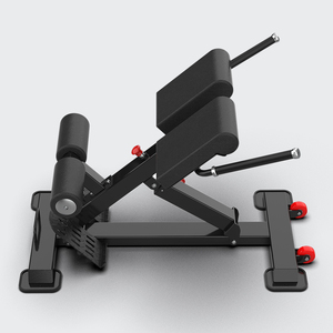 Máquina de Extensión Lumbar QLI QBE030, Equipo Profesional de Gimnasio Comercial, Máquina de Ejercicios para la Parte Inferior de la Espalda para Entrenamiento de Fuerza - Product Image 3