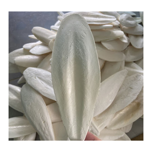 Os de seiche séché et taillé pour l'alimentation animale du Vietnam 5-9cm/ 10-15cm - Caryln - Product Image 2