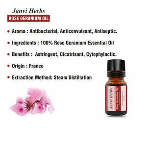 Quantité en vrac 100% Huile essentielle de géranium rose biologique naturelle pour les soins du visage et de la peau en aromathérapie - Product Image 5