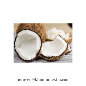 Coco de clase mundial: carne congelada de exportación de carne de coco congelada a granel de Vietnam - Product Image 6