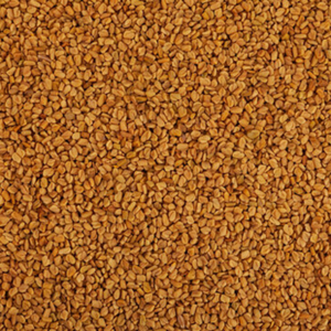 Graines de fenugrec indiennes de qualité supérieure nettoyées à la machine, qualité alimentaire, pour les réseaux de distribution mondiaux - Product Image 1