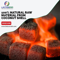 Charbon de bois Shisha de noix de coco Charbon de bois de haute qualité de Thaïlande Vente en gros 100% Charbon de noix de coco naturel