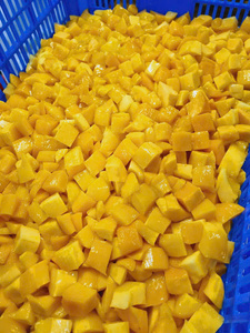 Cubos de mango congelados de Vietnam de primera calidad, hechos con mango fresco para la elaboración de helados y aplicaciones de servicio de alimentos. - Product Image 4