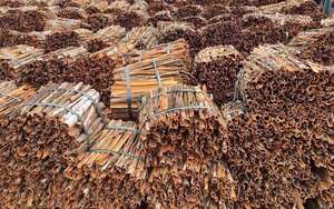 Canela de Ceilán en Tubo, Canela en Polvo, Varillas de Canela Seca, Canela de Ceilán en Tubo - Product Image 6