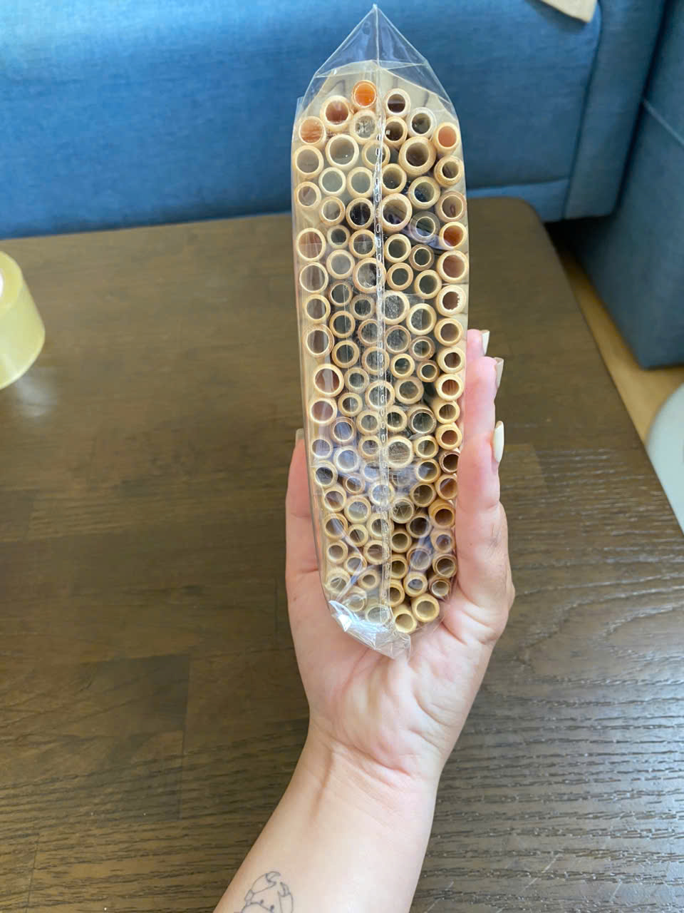 bamboo tubes for insect hotels