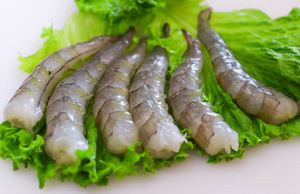 Camarones Vannamei Congelados de Primera Calidad, Tamaño Grande, Mariscos para Suministro al por Mayor - Product Image 2