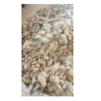 Ekstensi rambut Kombo putih India penutupan wig Frontal Double Weft pasokan grosir gratis Afro Kinky lurus Vietnam dalam