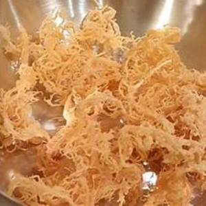 La mousse de mer parfaite. - Product Image 3