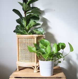 Jardinières en filet de rotin en fer faites à la main Design personnalisé Pots de fleurs d'intérieur et d'extérieur Jardinière à noyau décoratif - Product Image 1