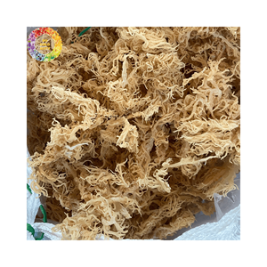 Eucheuma cottonii แห้งตามธรรมชาติมอสทะเลไอริชสีทอง seamoss สำหรับเจลมอสทะเล argassum ถุง25กก. จำนวนมากไม่ใส่เกลือ - Product Image 2