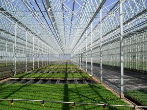 แผงกระจกเรือนกระจกสำหรับการเกษตรเชิงพาณิชย์แบบหลายช่วงสำหรับขาย - Product Image 3