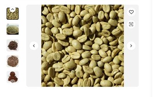 Commercio all'ingrosso brasiliano di alta qualità chicchi di caffè verde con il miglior prezzo per l'importazione di buona qualità chicchi di caffè crudo - Product Image 2