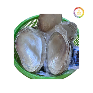 Vente chaude Plateau en coquille de perle polie fait à la main Élégant Artisanat naturel unique Plateau à caviar en coquillage - Product Image 6