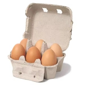 Chicken Table <b>Eggs</b> Packed With Care And Freshness Bulk Supply Premium Table <b>Eggs</b> - Product Image 4