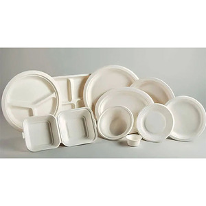 Bagasse de canne à sucre biodégradable écologique jetable Boîte à lunch de restauration rapide Emballage de moulage de pulpe avec conception à clapet - Product Image 1