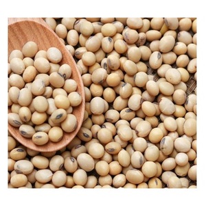 Soja No Transgénica, Semillas de Soja - Product Image 1