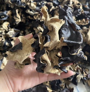 Champignons noirs séchés du Vietnam Parfaits pour les soupes, les ragoûts, les sautés Ingrédient de cuisine sain - Product Image 1