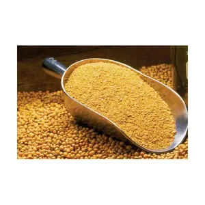 Meilleur aliment de poisson Tilapia Premium pour la vente en gros - Product Image 1