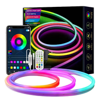 Bande LED commerciale Ws2812b 144 LED, programmable par DMX, pixels RGBW multicolores, 12V, adressable individuellement, cordons lumineux COB RGB en PVC