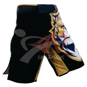 Short d'entraînement MMA personnalisé de haute qualité pour hommes avec cordon de serrage à séchage rapide Short de sport Thai Kick Boxing - Product Image 2