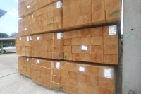 Planches en bois de pin massif en gros 100*200*6000 Plusieurs tailles Meilleure qualité pour la conception d'hôtels modernes Fournisseur USA Fabriqué en Asie du Sud-Est