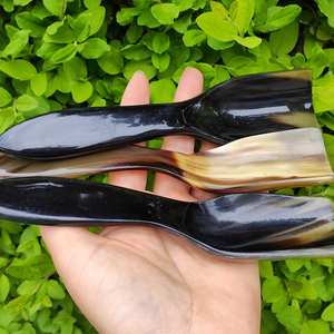 Cucharas de cuerno hechas a mano de alta calidad con mango Diseño moderno para condimentos de azúcar Ocasión de fiesta para mercados de exportación al por mayor - Product Image 1