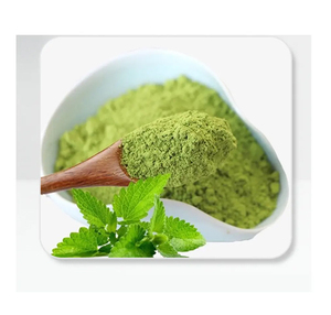 Superior Quality Water Soluble Mint Leaf Herbal Extract Powder Health Food Grade 25 KG <b>Polybag</b> Packaging Made India Worldwide - Product Image 4