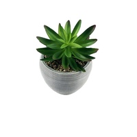 Vente en gros de pots de plantes décoratifs pour l'intérieur et l'extérieur, forme ronde, logo personnalisé, décoration de mariage, pot de plante d'intérieur