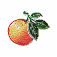 Aangepaste Decoratieve Plak Watermeloen Fruit Borduurpatches