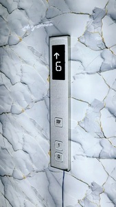 Panel elevador de acero inoxidable de calidad superior (COP LOP HOP) Diseño moderno para una operación eficiente y duradera para hoteles y villas - Product Image 3