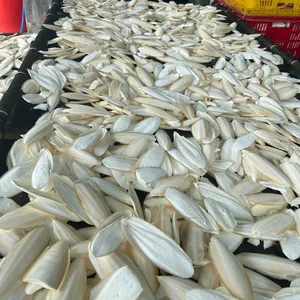 Лучшая Экономичная цена-эксклюзивная оптовая продажа 100% натуральных костей каракатиц из Вьетнама