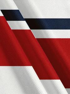 T-shirt à rayures imprimé numérique grande taille pour homme, rayures bleu marine et rouge, vêtements pour homme, col rond, manches courtes, vêtements décontractés et sportifs - Product Image 3