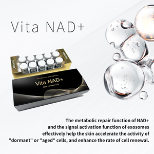 เซรั่มให้ความชุ่มชื้น2025 NAD + EXO Vita พร้อมไนอาซินาไมด์และกรดไฮยาลูโรนิกดูแลผิวหน้าทุกวันสำหรับริ้วรอยที่หมองคล้ำ - Product Image 6